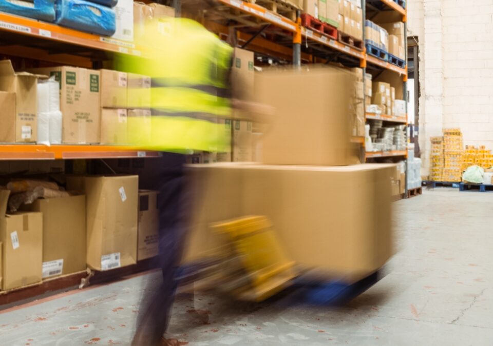 Slogast × Redlum Holding